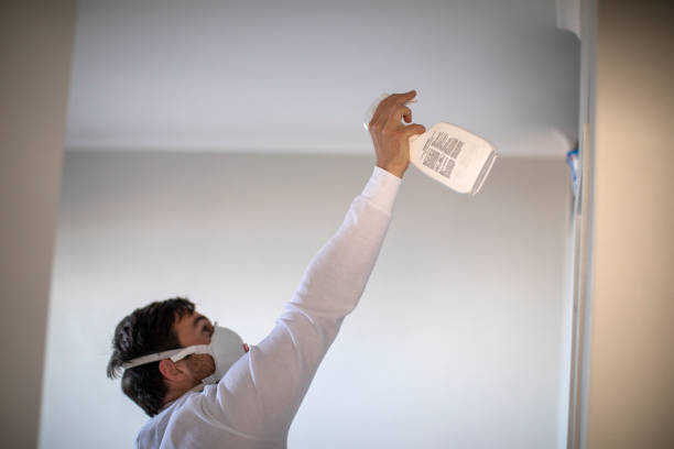 Best Professional Mold Removal  in Delavan, WI