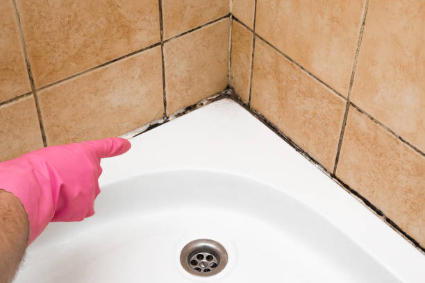 Best Mold Testing  in Delavan, WI